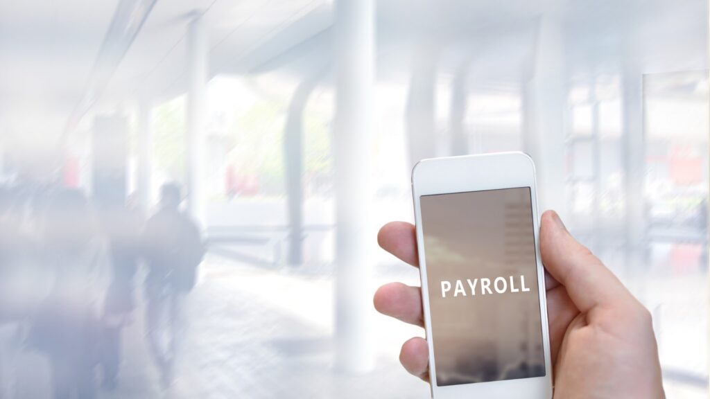 Top Advantages of Payroll Online Services in Boulder for Your Business